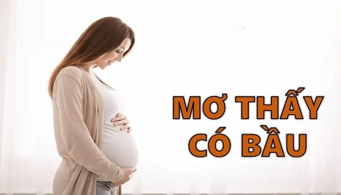 Biểu tượng mang thai trong giấc mơ thấy có bầu