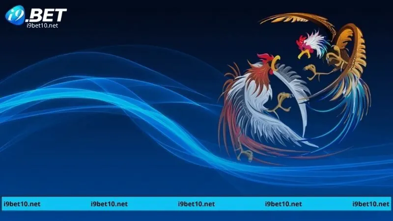Cá Cược Đá Gà I9bet: Tỷ Lệ Kèo Cao, Trả Thưởng Nhanh